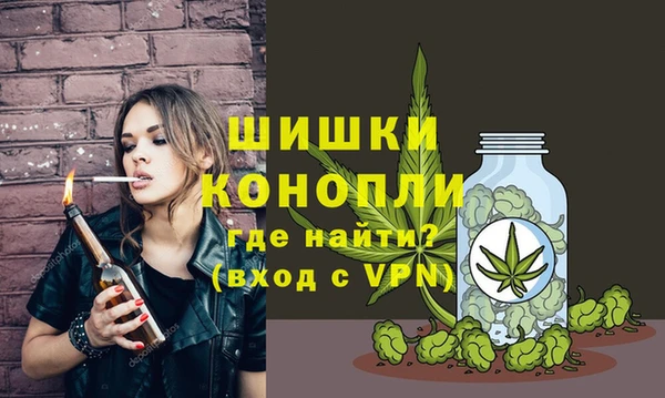 дурь Алзамай