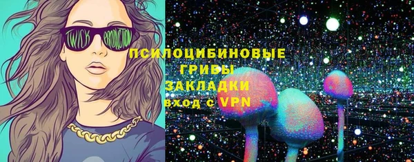 ГАЛЛЮЦИНОГЕННЫЕ ГРИБЫ Алексин