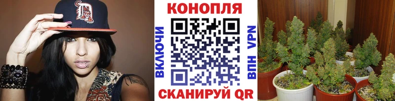 блэк спрут зеркало  Арсеньев  Бошки марихуана тримм  маркетплейс состав  закладки 